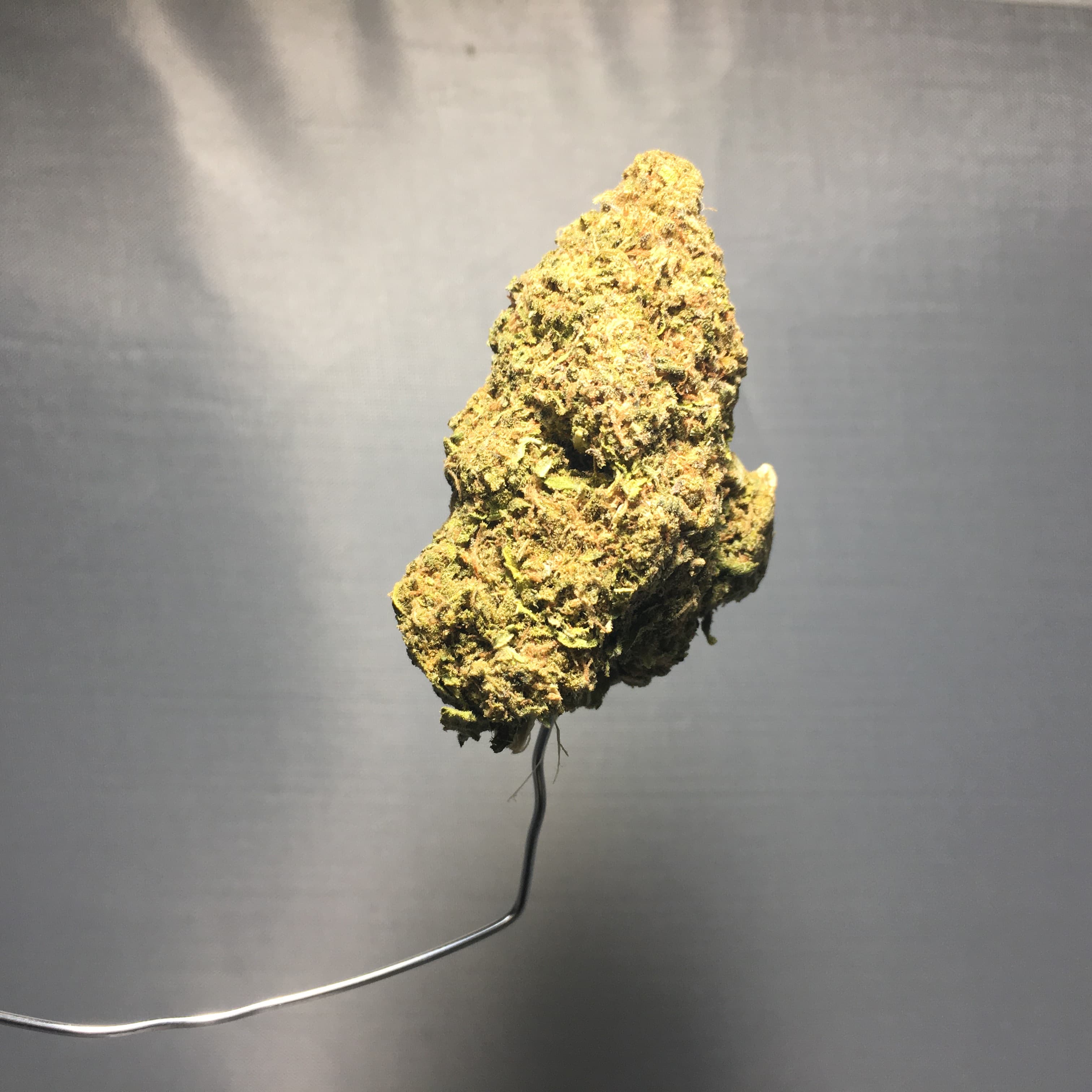 Blue Cookies