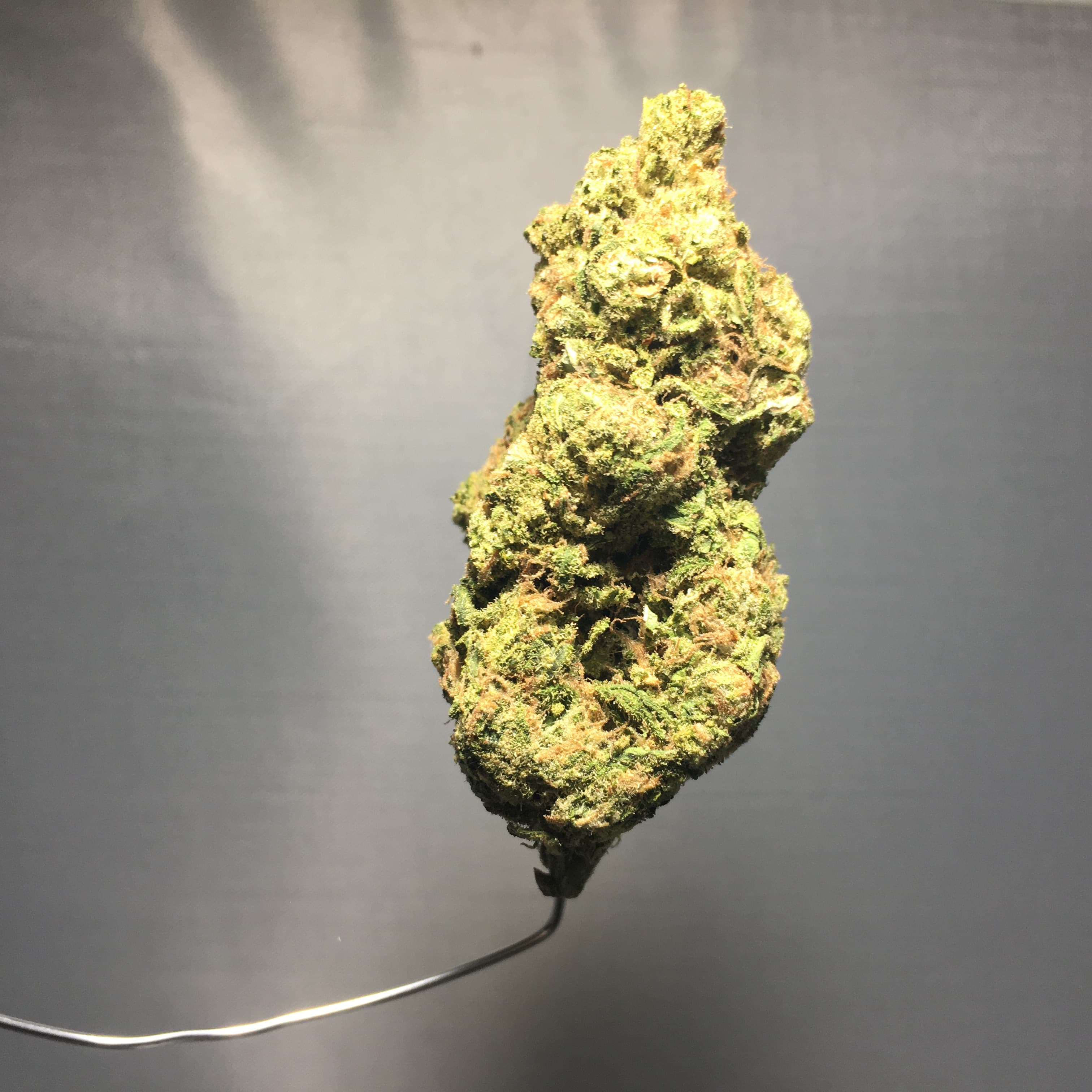 Blue Dream