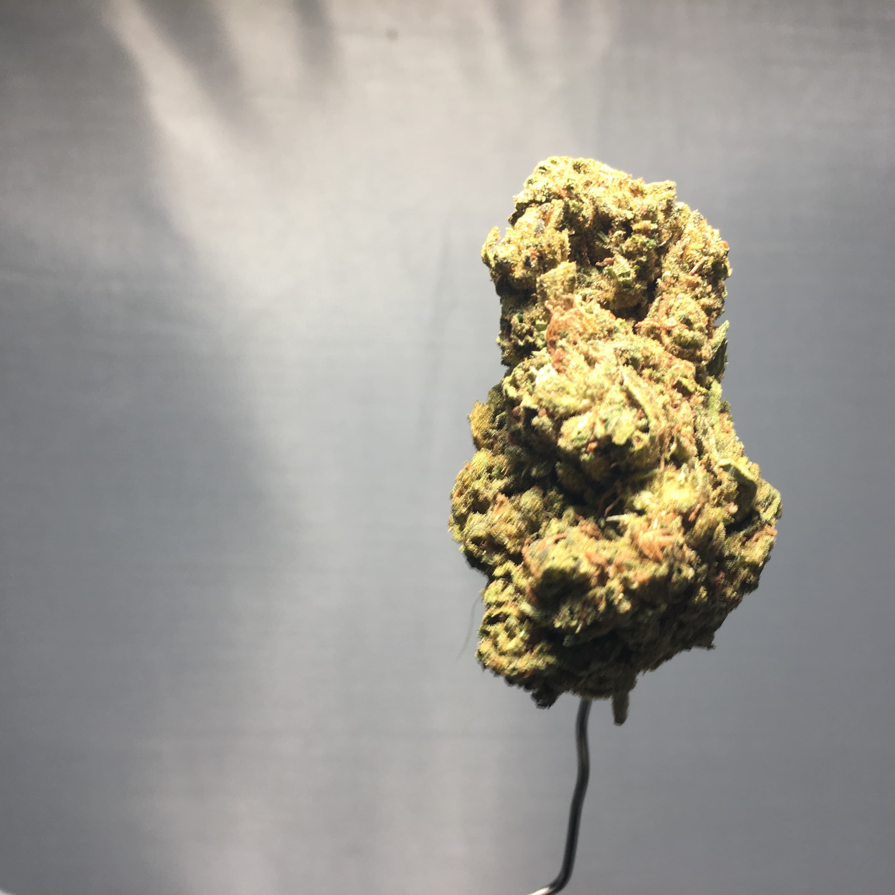 Triangle Kush