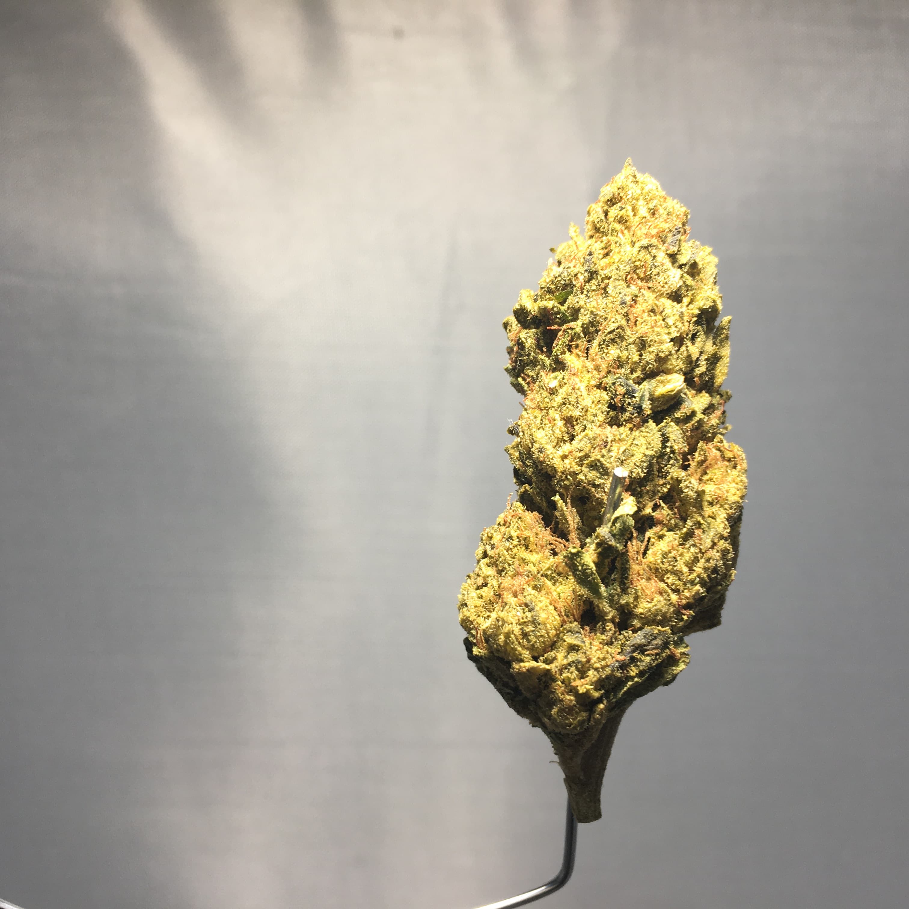Skywalker