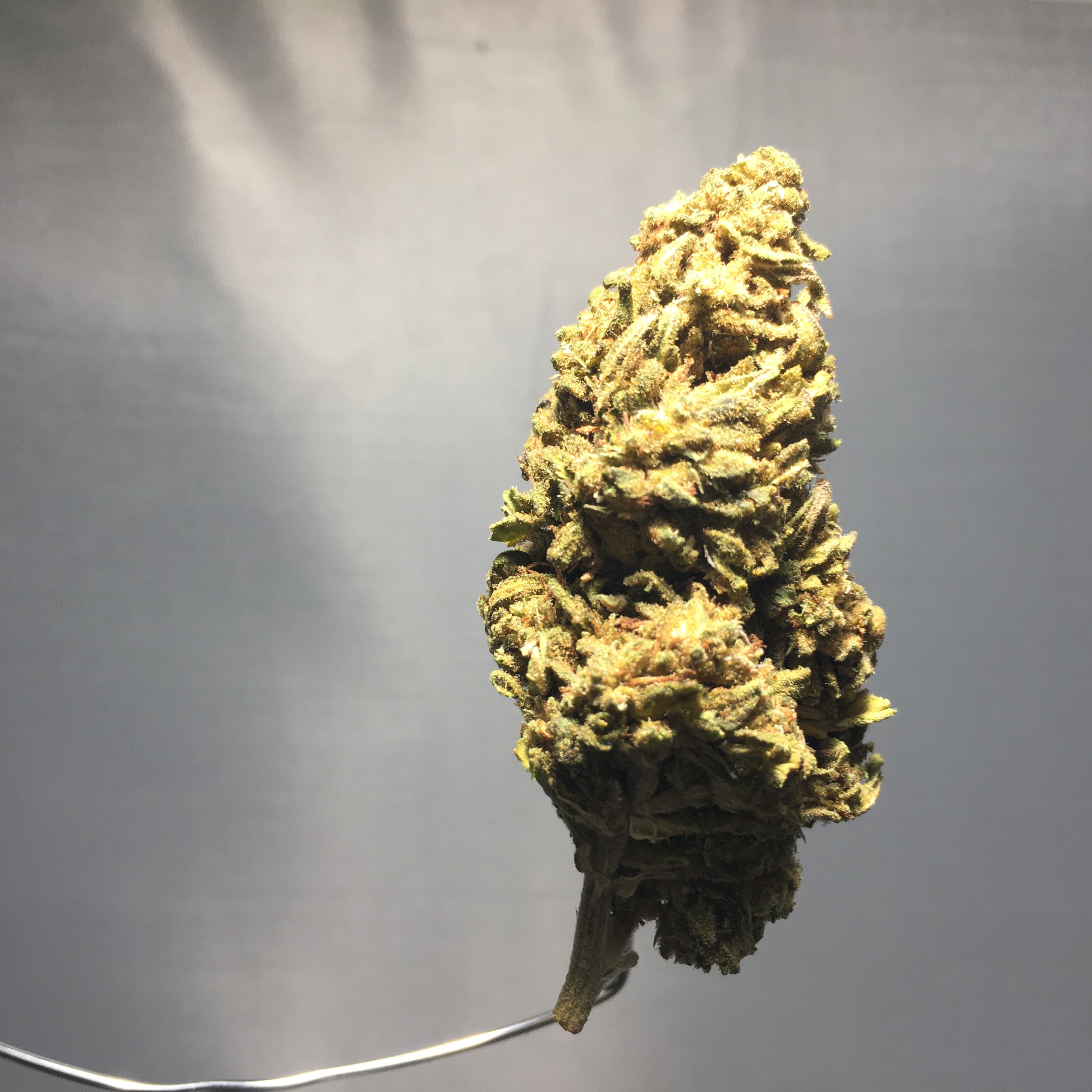 SF OG