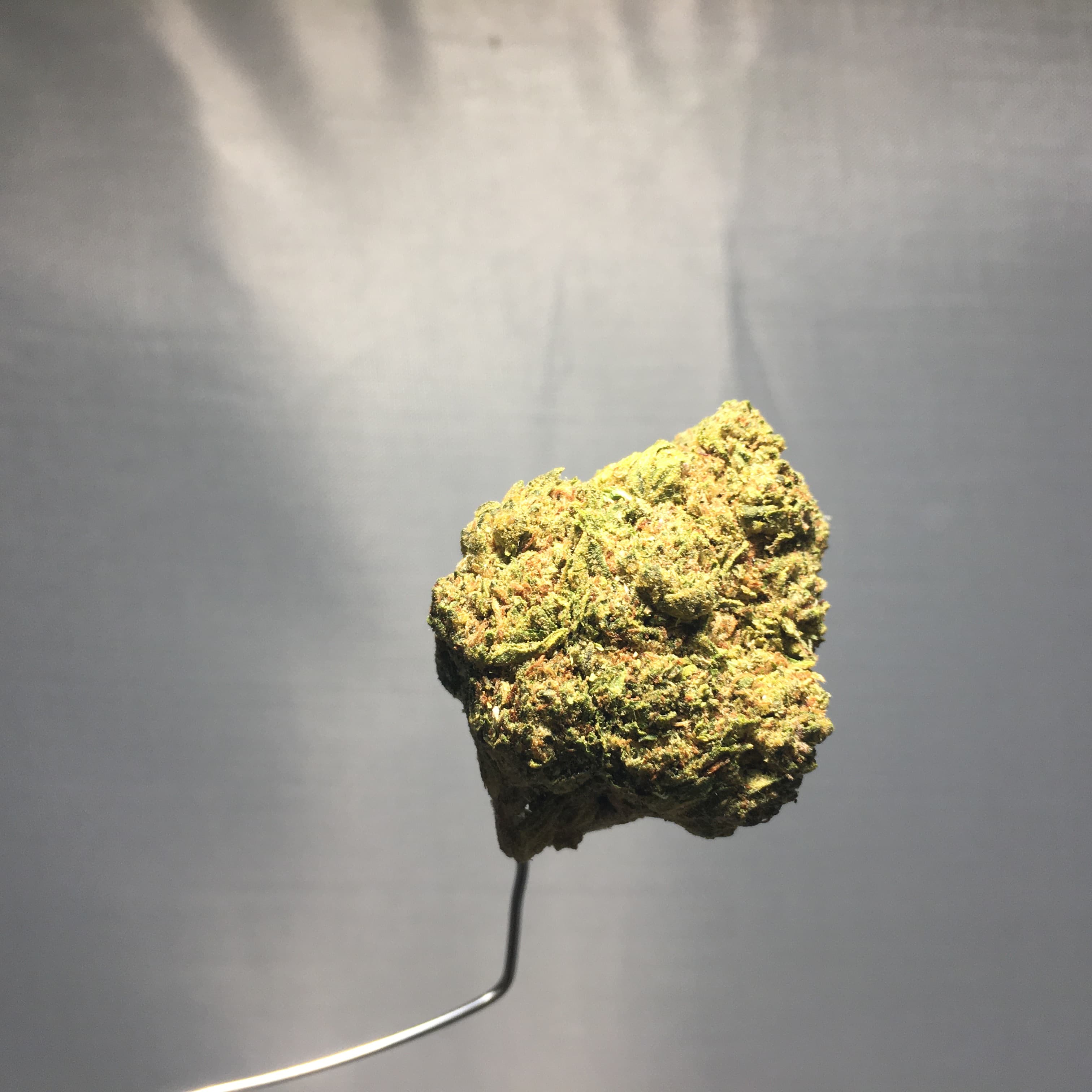 Cali Gas