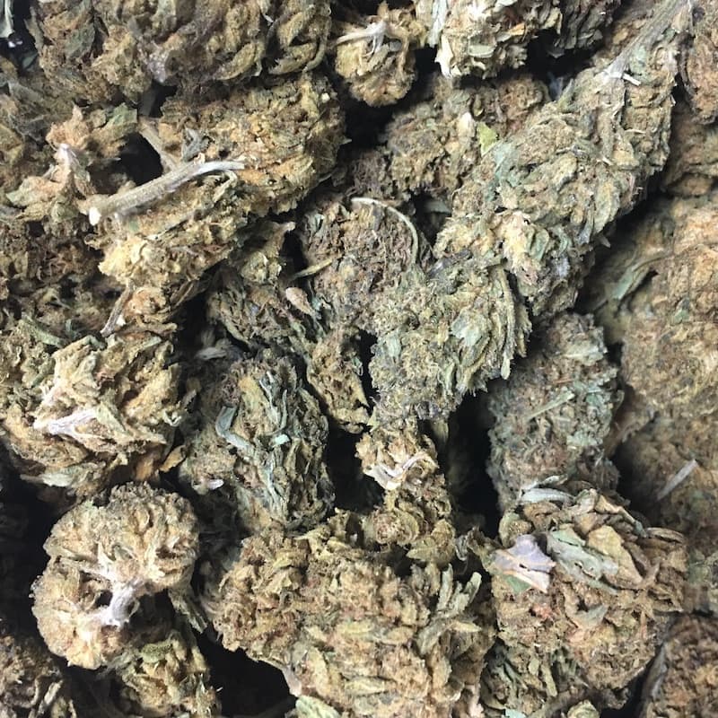 Larry OG