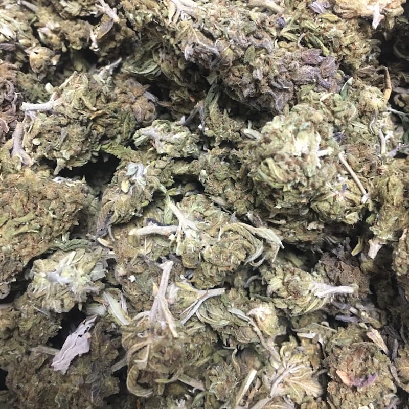 Zookies